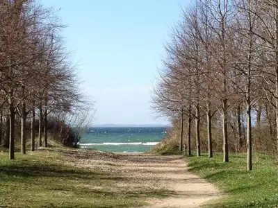 Naturlandschaft in der Nähe der Ferienwohnung