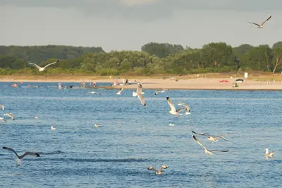 Naturlandschaft in der Nähe der Ferienwohnung
