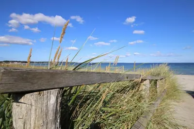 Naturlandschaft in der Nähe der Ferienwohnung
