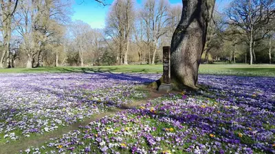 Ein Garten an der Unterkunft Ferienwohnung 