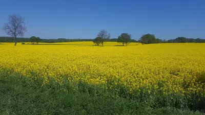 Naturlandschaft in der Nähe des Ferienhauses