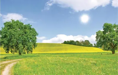 Naturlandschaft in der Nähe des Ferienhauses