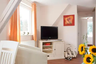TV/Unterhaltungsangebot in der Unterkunft Gönndyr