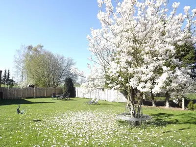 Ein Garten an der Unterkunft Ferienwohnung Ostseenähe
