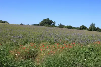Naturlandschaft in der Nähe des Ferienhauses