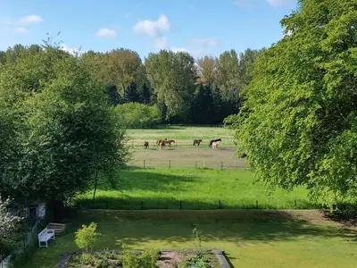 Tiere in der Ferienwohnung oder in der Nähe