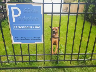 Ein Zertifikat, Auszeichnung, Logo oder anderes Dokument, das in der Unterkunft Ferienhaus Ellie ausgestellt ist