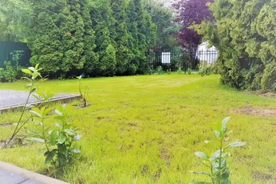 Ein Garten an der Unterkunft Ferienhaus Ellie