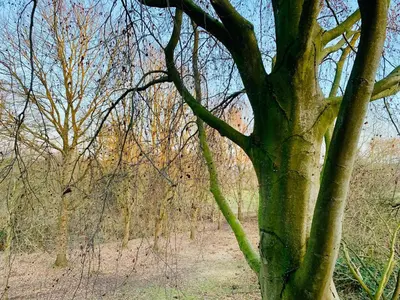 Naturlandschaft in der Nähe der Ferienwohnung