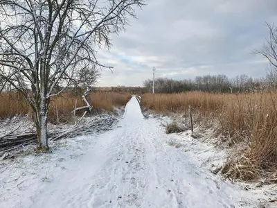 FeWo Tina im Winter