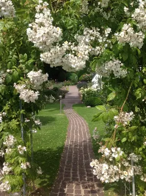 Ein Garten an der Unterkunft Ferienzimmer am See