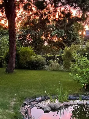 Ein Garten an der Unterkunft Lot Lodge Travemünde