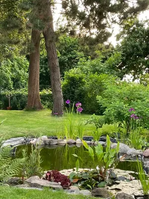 Ein Garten an der Unterkunft Lot Lodge Travemünde