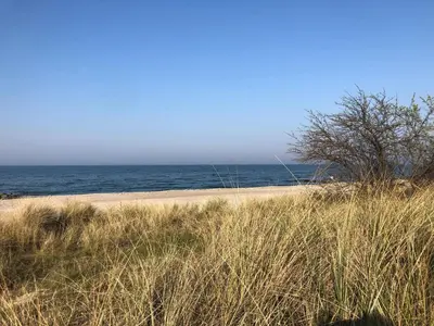 Naturlandschaft in der Nähe der Ferienwohnung