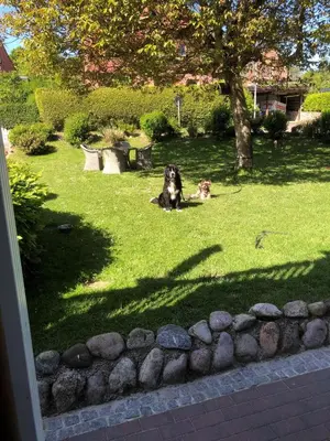 Ein Garten an der Unterkunft Schäferkate Sierksdorf