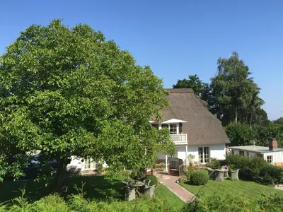 Ein Garten an der Unterkunft Schäferkate Sierksdorf
