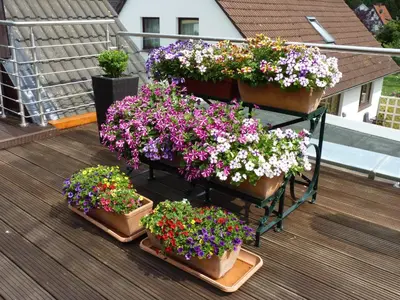 Ein Garten an der Unterkunft Ferienwohnung GOMO