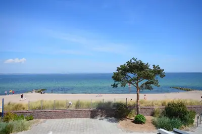 Naturlandschaft in der Nähe der Ferienwohnung