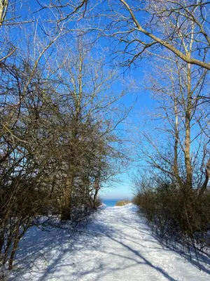 Haus Strandgut im Winter