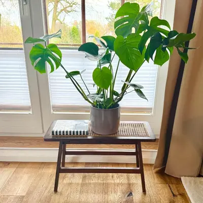 Grundriss der Unterkunft HAPPY PLACE mit Sonnen-Balkon und Stellplatz nur 400 m zum Strand