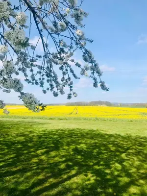 Naturlandschaft in der Nähe der Ferienwohnung