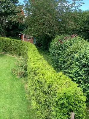 Ein Garten an der Unterkunft Ferienwohnung Wentorf Amt Sandesneben