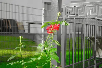 Ein Garten an der Unterkunft Gepflegtes und schönes Ferienapartment