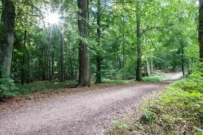 Naturlandschaft in der Nähe des Ferienhauses