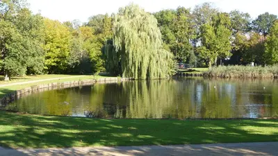 Naturlandschaft in der Nähe der Ferienwohnung
