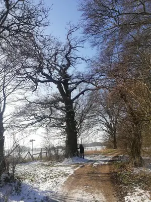 Gästehaus Kibbel im Winter
