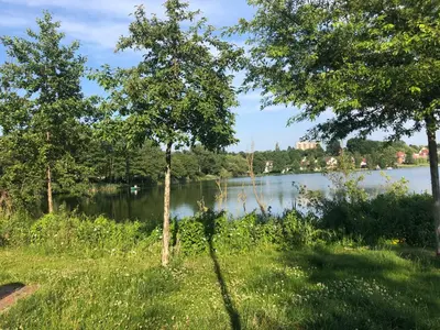 Naturlandschaft in der Nähe der Ferienwohnung