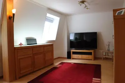 TV/Unterhaltungsangebot in der Unterkunft Ferienwohnung zum weißen Schwan