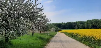 Naturlandschaft in der Nähe der Ferienwohnung