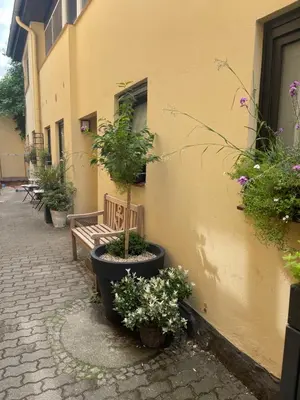 Ein Garten an der Unterkunft Ostsee Ferienwohnung Möwengasse