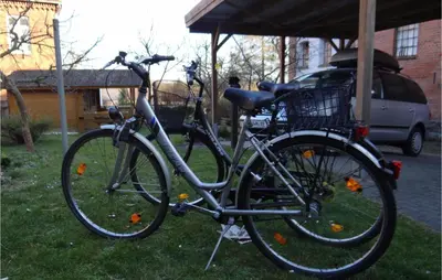 Radfahren an der Unterkunft 1 Bedroom Lovely Apartment In Schönberg oder in der Nähe