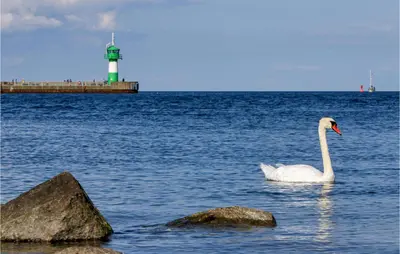 Naturlandschaft in der Nähe des Ferienhauses