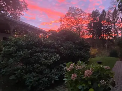 Ein Garten an der Unterkunft Saunahäuschen
