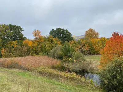 Naturlandschaft in der Nähe des Ferienhauses