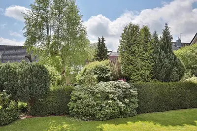 Ein Garten an der Unterkunft Haus Wolburgstraße Haus Wolburgstrasse Appartement 12