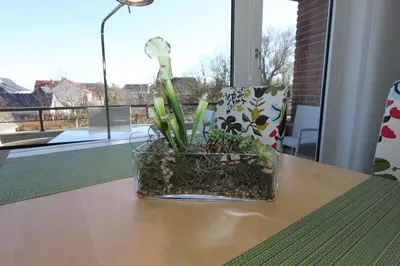 Ein Garten an der Unterkunft Haus an der Strandallee 112 Haus an der Strandallee 112 Appartement 7