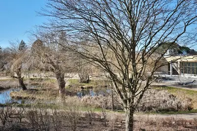 Naturlandschaft in der Nähe der Ferienwohnung
