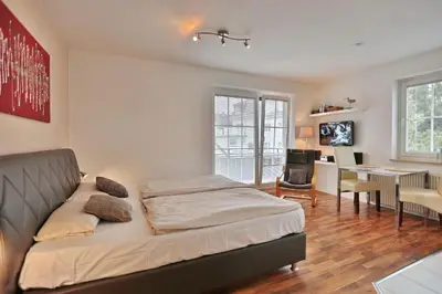 TV/Unterhaltungsangebot in der Unterkunft Parkdomizil Parkdomizil Appartement 5