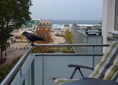Ein Balkon oder eine Terrasse in der Unterkunft Strandglück Haus A Strandglück Appartement 22A