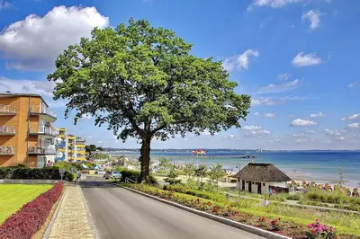 Naturlandschaft in der Nähe der Ferienwohnung