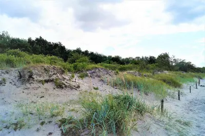 Naturlandschaft in der Nähe des Ferienhauses