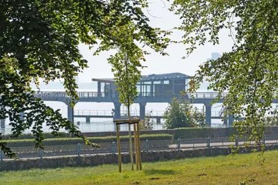 Naturlandschaft in der Nähe der Ferienwohnung