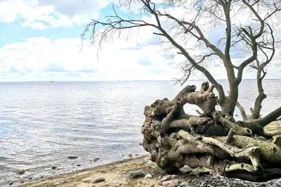 Naturlandschaft in der Nähe des Ferienhauses