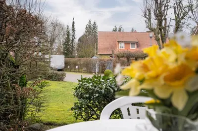 Ein Garten an der Unterkunft OST29b Ferienwohnung Muschelbank