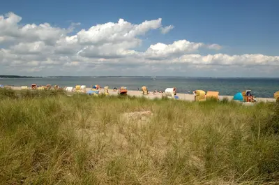 Naturlandschaft in der Nähe der Ferienwohnung
