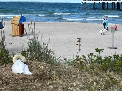 Ein Strand an oder in der Nähe der Ferienwohnung